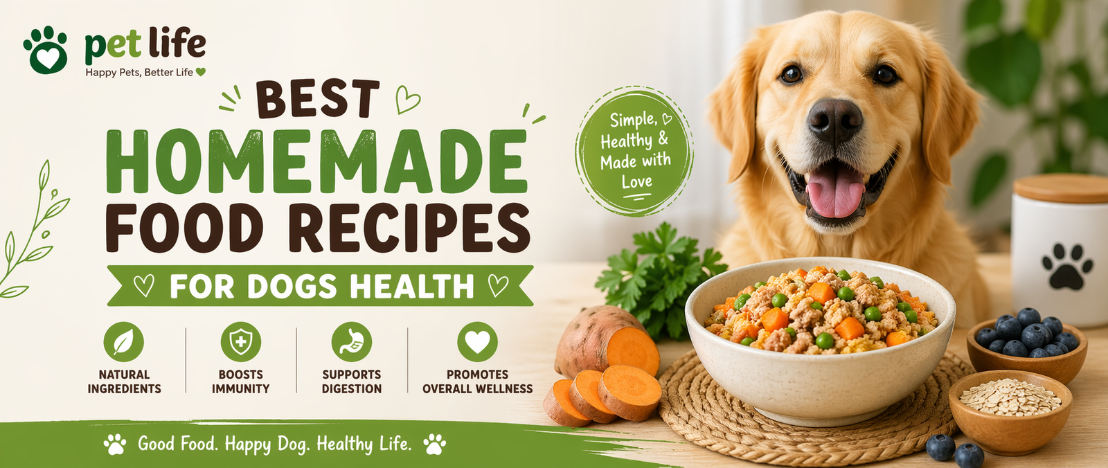 best homemade food recipes for dogs health