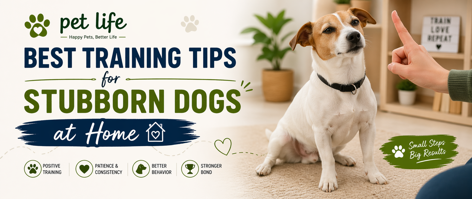 best training tips for stubborn dogs at home