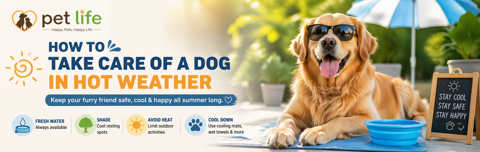 how to take care of a dog in hot weather