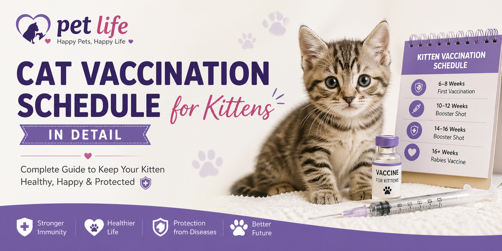 cat vaccination schedule for kittens in detail