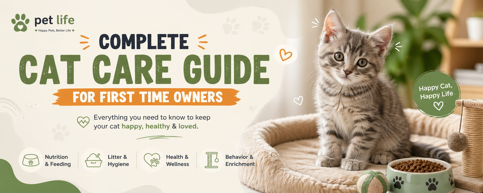 complete cat care guide for first time owners