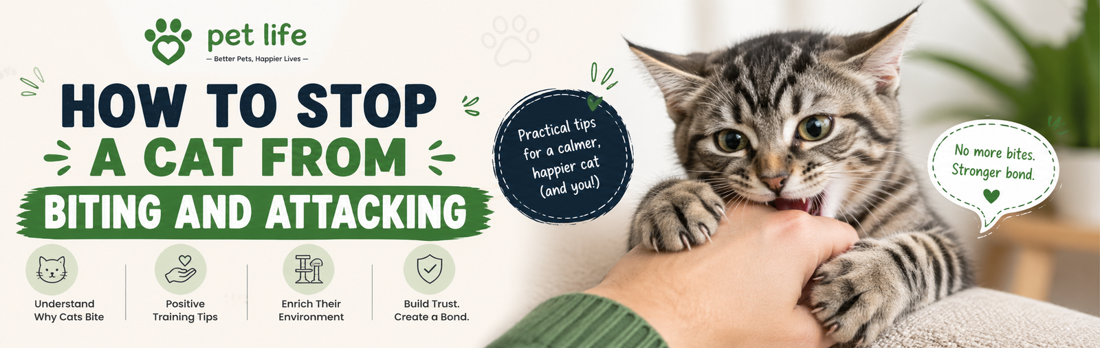 how to stop a cat from biting and attacking