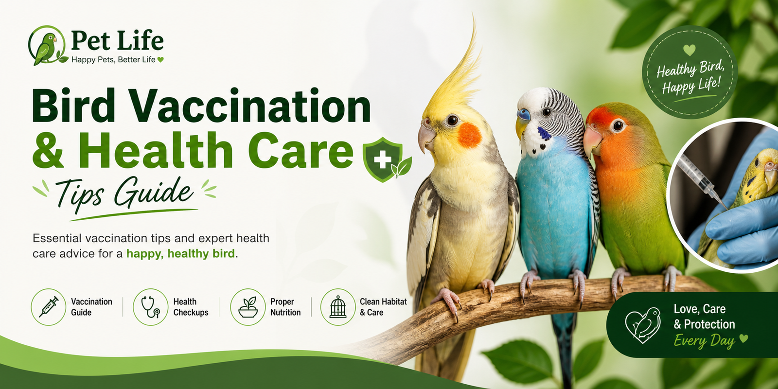 bird vaccination and health care tips guide